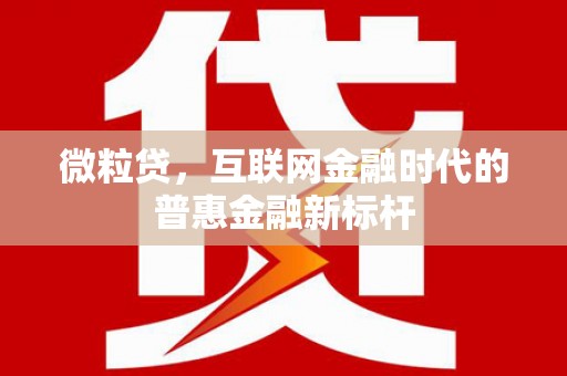 金寨微粒贷，互联网金融时代的普惠金融新标杆