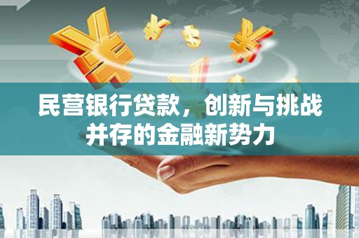 金寨民营银行贷款，创新与挑战并存的金融新势力