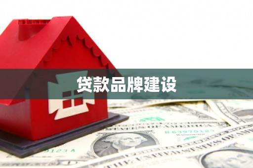 金寨贷款品牌建设