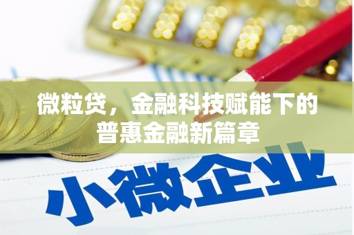 金寨微粒贷，金融科技赋能下的普惠金融新篇章