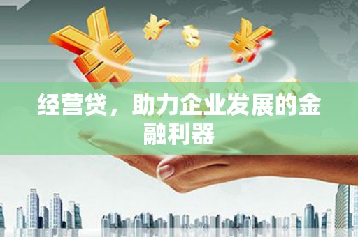 金寨经营贷，助力企业发展的金融利器