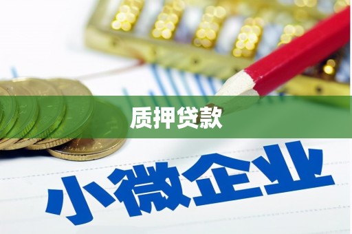 金寨质押贷款