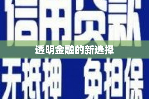 金寨透明金融的新选择