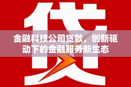 金寨金融科技公司贷款，创新驱动下的金融服务新生态