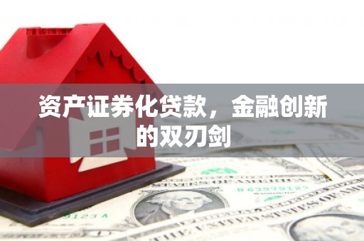 金寨资产证券化贷款，金融创新的双刃剑