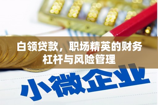 金寨白领贷款，职场精英的财务杠杆与风险管理