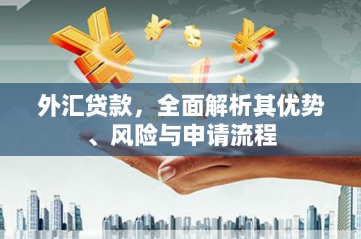 金寨外汇贷款，全面解析其优势、风险与申请流程
