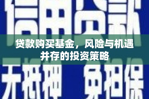 金寨贷款购买基金，风险与机遇并存的投资策略