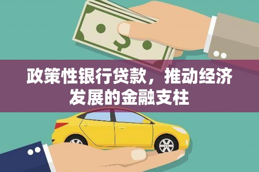 金寨政策性银行贷款，推动经济发展的金融支柱