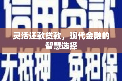 金寨灵活还款贷款，现代金融的智慧选择