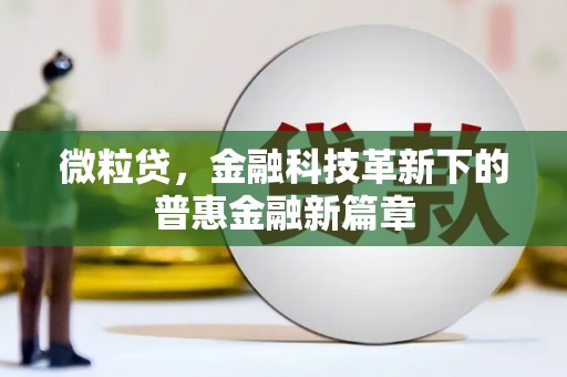 金寨微粒贷，金融科技革新下的普惠金融新篇章