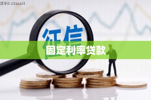 金寨固定利率贷款