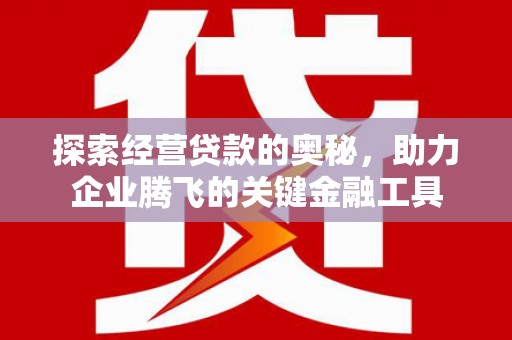 金寨探索经营贷款的奥秘，助力企业腾飞的关键金融工具