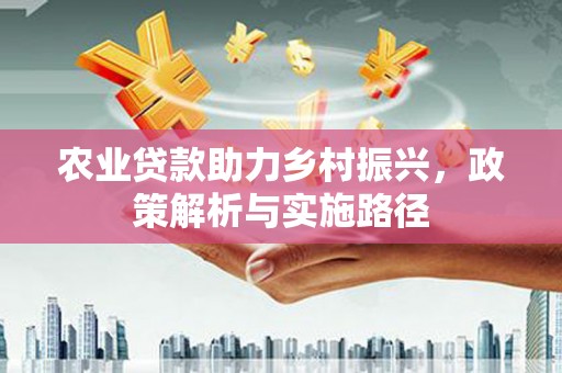 金寨农业贷款助力乡村振兴，政策解析与实施路径