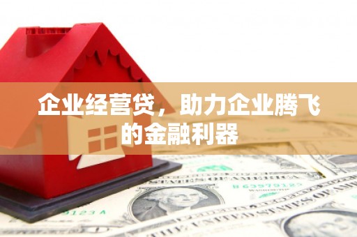金寨企业经营贷，助力企业腾飞的金融利器