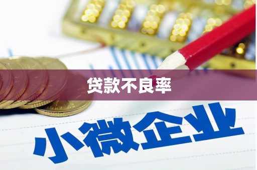 金寨贷款不良率