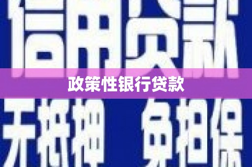 金寨政策性银行贷款