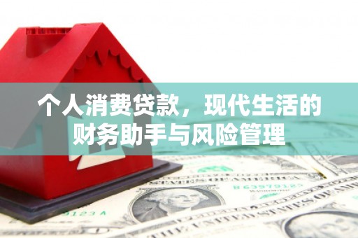 金寨个人消费贷款，现代生活的财务助手与风险管理