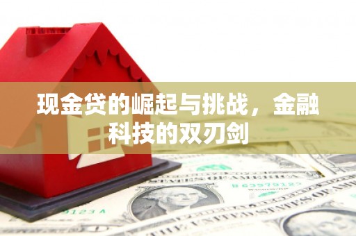 金寨现金贷的崛起与挑战，金融科技的双刃剑