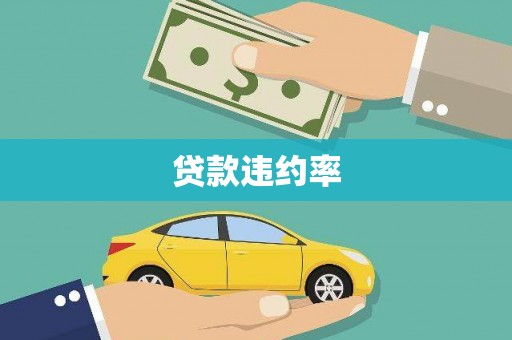 金寨贷款违约率