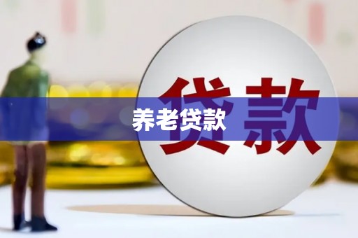 金寨养老贷款