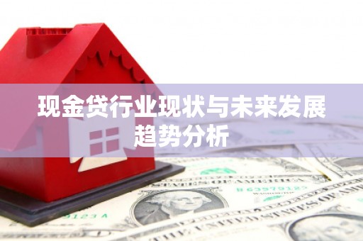 金寨现金贷行业现状与未来发展趋势分析