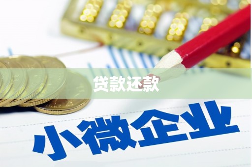 金寨贷款还款