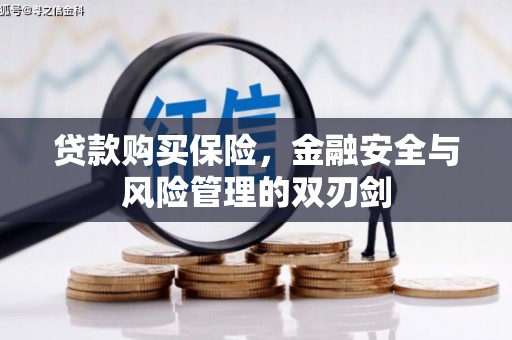 金寨贷款购买保险，金融安全与风险管理的双刃剑