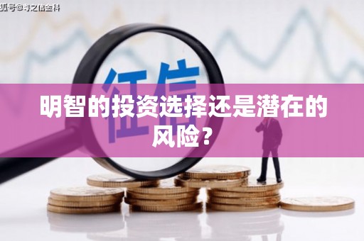 金寨明智的投资选择还是潜在的风险？