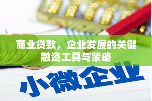 金寨商业贷款，企业发展的关键融资工具与策略