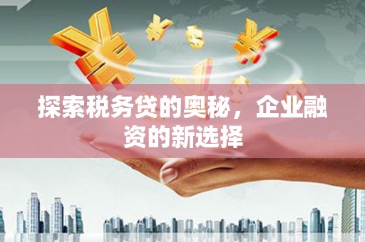 金寨探索税务贷的奥秘，企业融资的新选择
