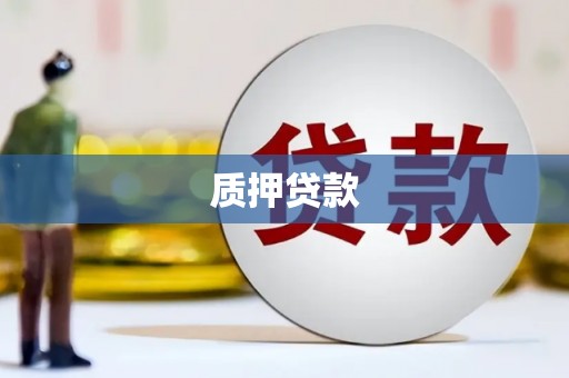 金寨质押贷款