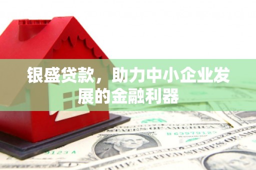 金寨银盛贷款，助力中小企业发展的金融利器