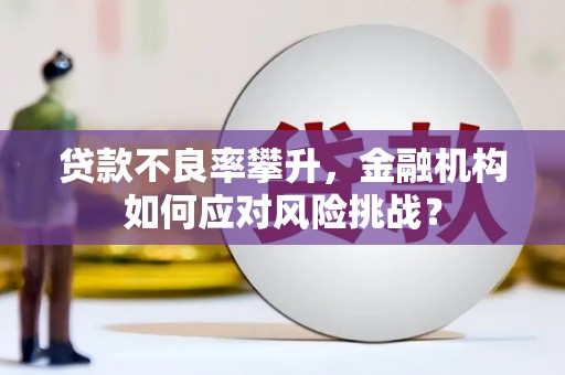 金寨贷款不良率攀升，金融机构如何应对风险挑战？