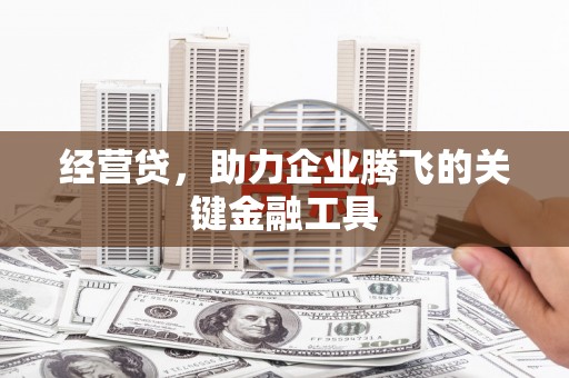 金寨经营贷，助力企业腾飞的关键金融工具