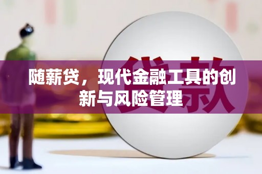金寨随薪贷，现代金融工具的创新与风险管理