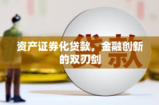 金寨资产证券化贷款，金融创新的双刃剑