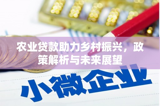 金寨农业贷款助力乡村振兴，政策解析与未来展望