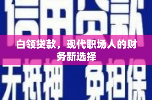 金寨白领贷款，现代职场人的财务新选择