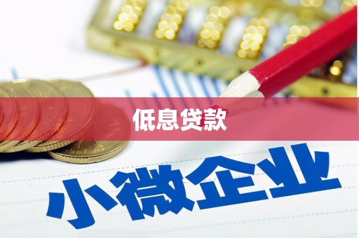 金寨低息贷款