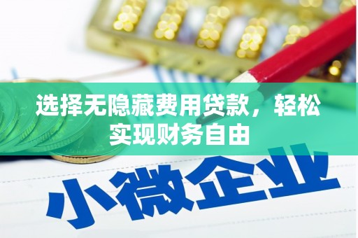 金寨选择无隐藏费用贷款，轻松实现财务自由