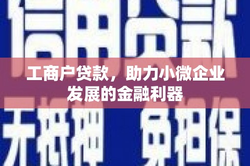 金寨工商户贷款，助力小微企业发展的金融利器