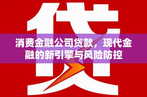 金寨消费金融公司贷款，现代金融的新引擎与风险防控