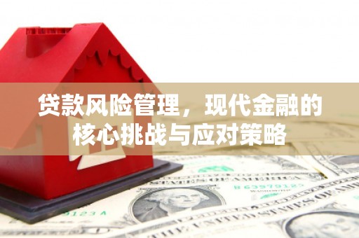 金寨贷款风险管理，现代金融的核心挑战与应对策略