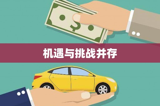 金寨机遇与挑战并存