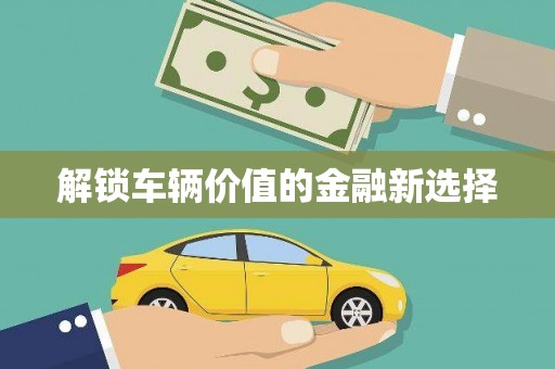 金寨解锁车辆价值的金融新选择