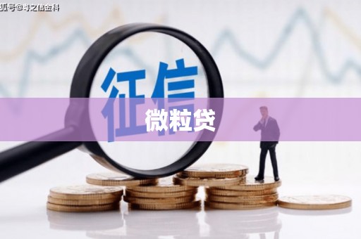 金寨微粒贷