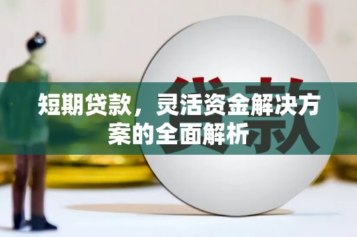金寨短期贷款，灵活资金解决方案的全面解析