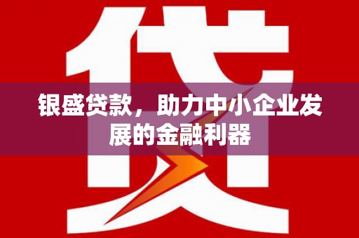 金寨银盛贷款，助力中小企业发展的金融利器