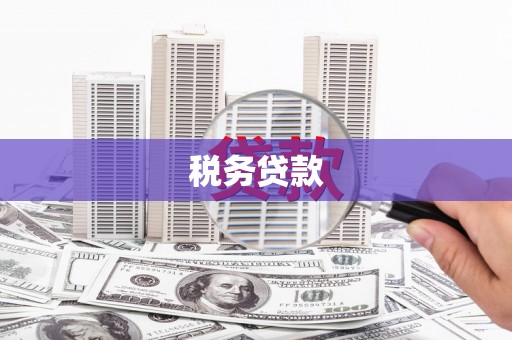 金寨税务贷款